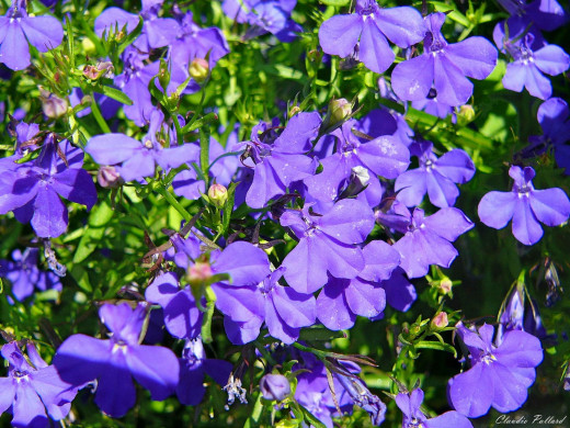 428301 (a): :1600x1200